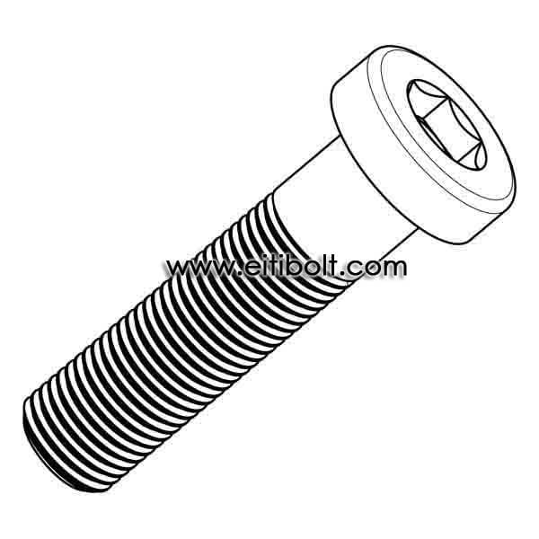 Titanium Hex Socket Thin Head Cap Screw DIN 6912 ASME B18.3
