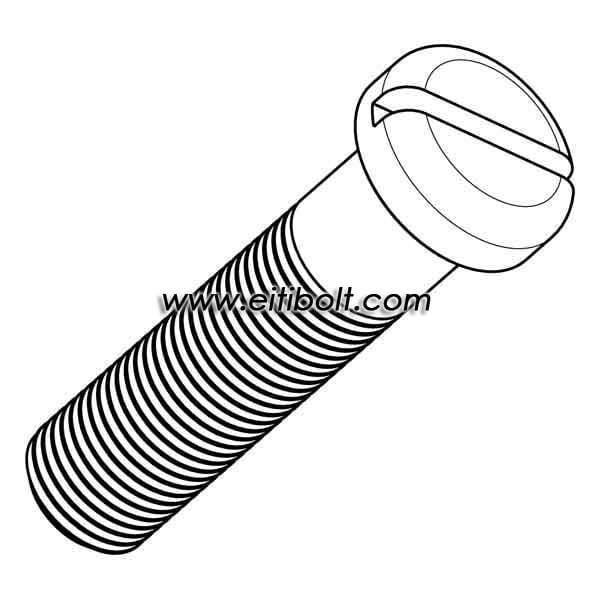 DIN85 Slotted Pan Head Titanium Screw